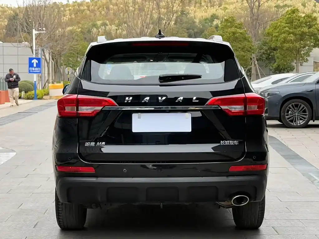 HAVAL M6 2019