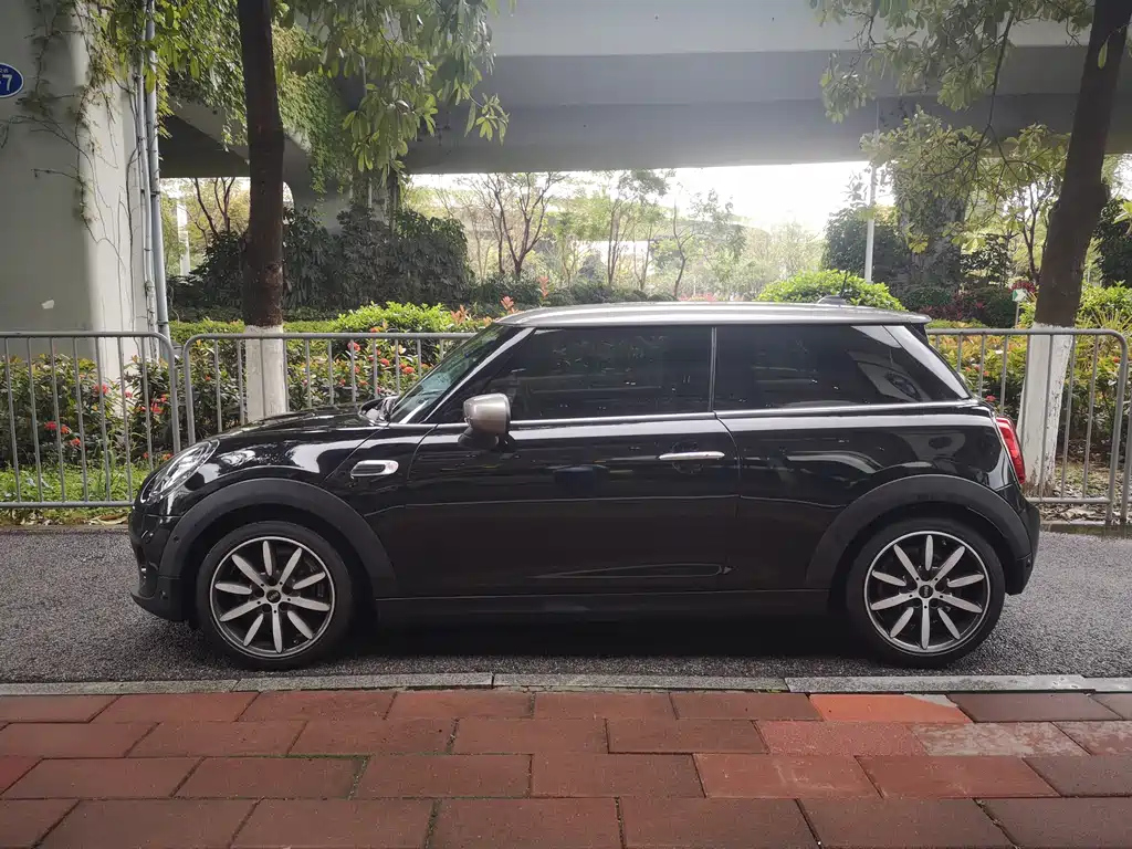 MINI OTHER 2021