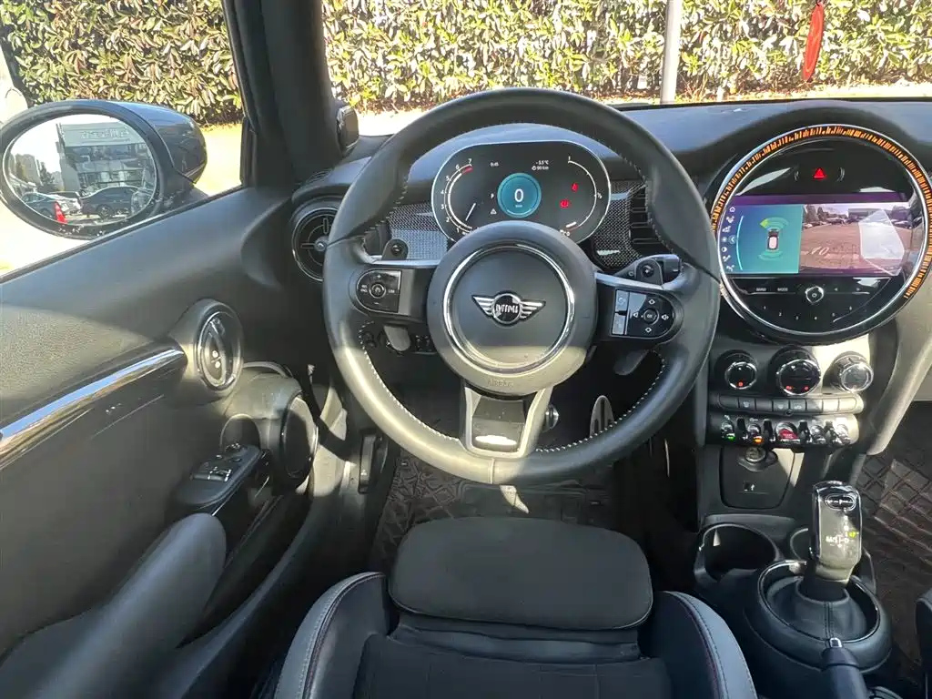 MINI OTHER 2021