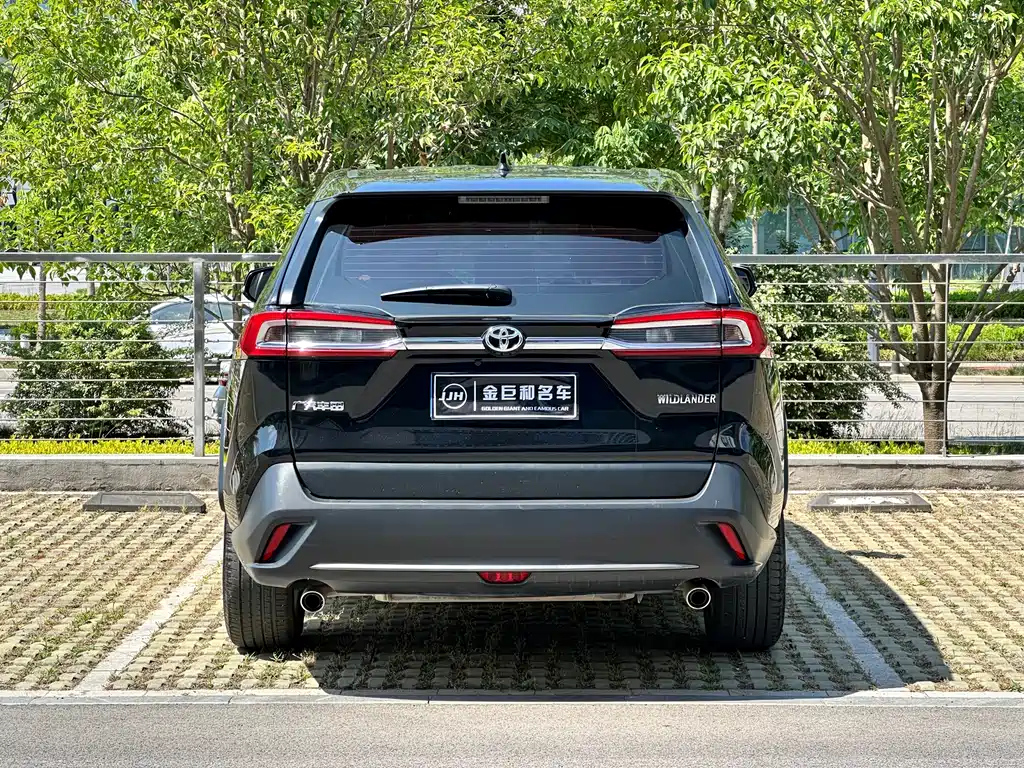 TOYOTA WILDLANDER 2022