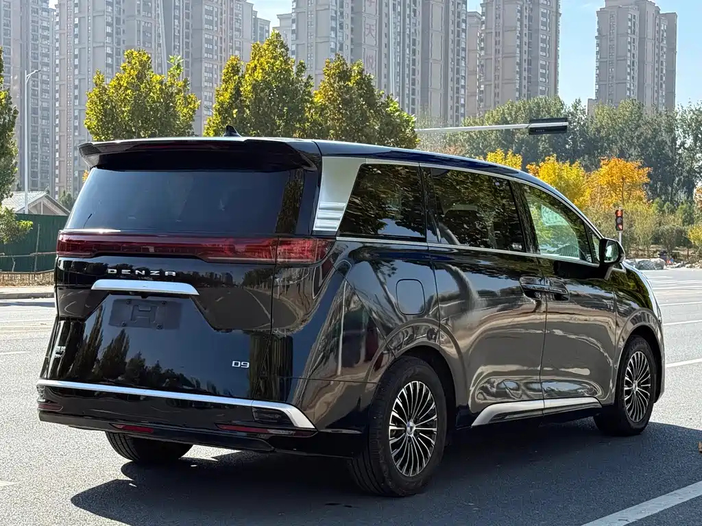 DENZA D9 2023