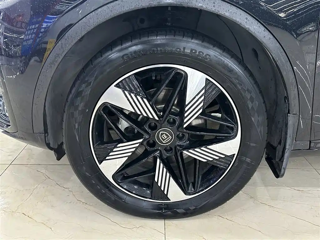BYD TANG NEW ENERGY 2023