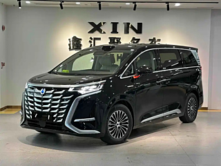 Заказать DENZA D9