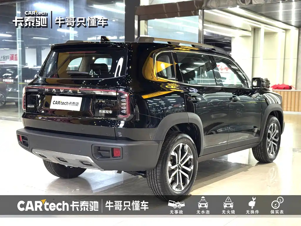 HAVAL BIG DOG 2024