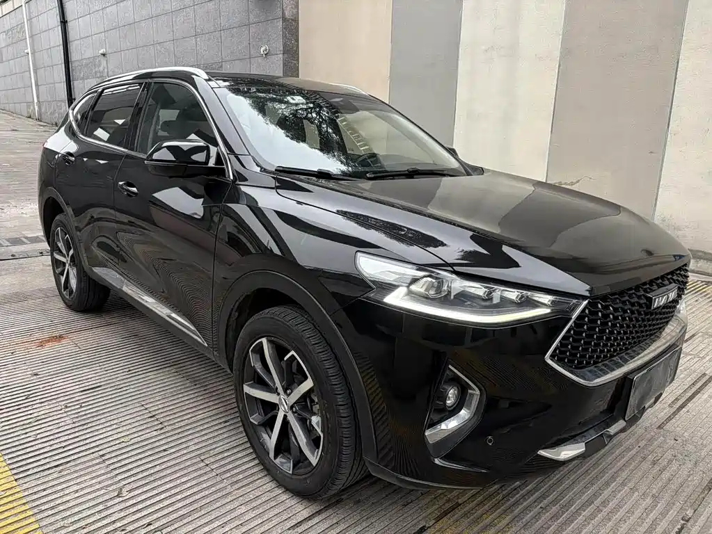 HAVAL F7X 2019
