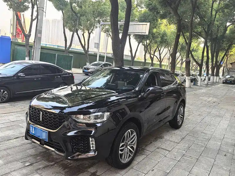 Аукционный лист WEY VV5 2019