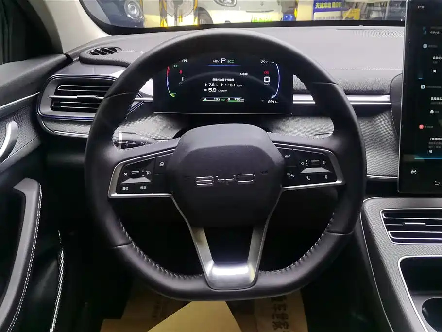 BYD DESTROYER 05 2024