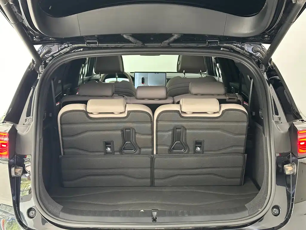 BYD TANG NEW ENERGY 2024