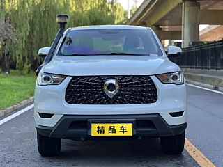 GREAT WALL CANNON  2021