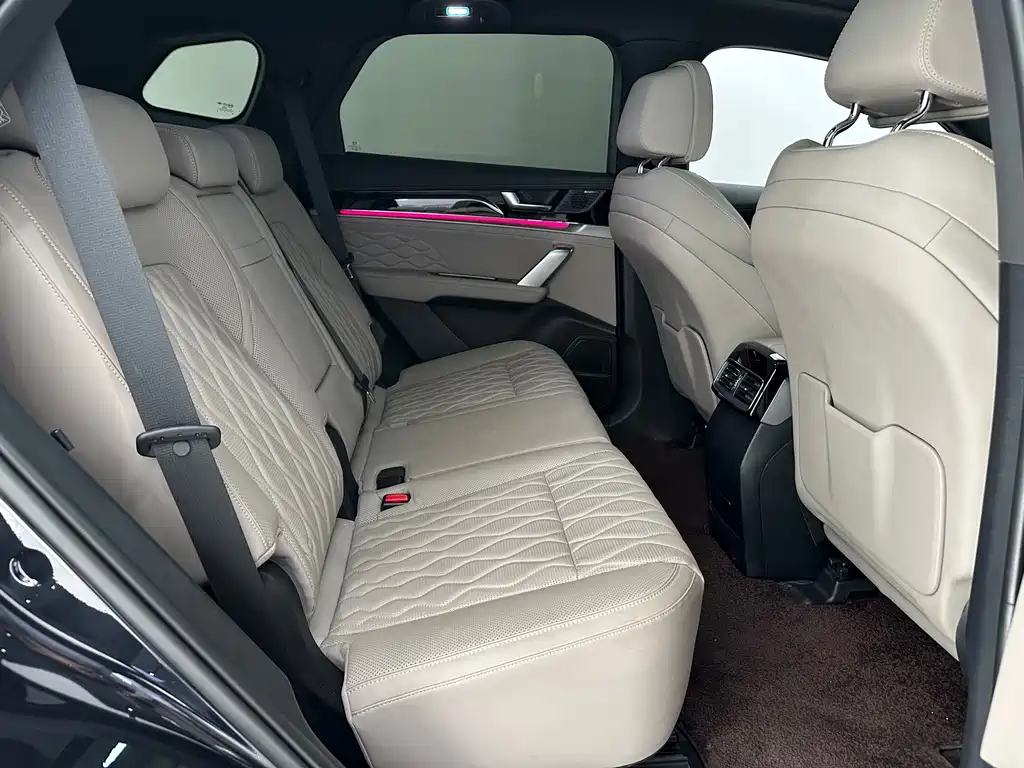 BYD TANG NEW ENERGY 2024