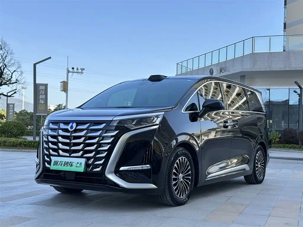 Аукционный лист DENZA D9 2024