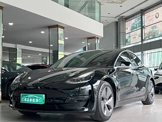TESLA MODEL 3 IMPORT  2019 YEAR &#38271; RANGE &#21518;&#39537; EDITION 2019