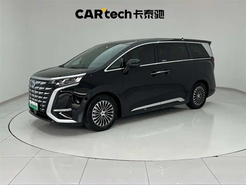 Аукционный лист DENZA D9 2025