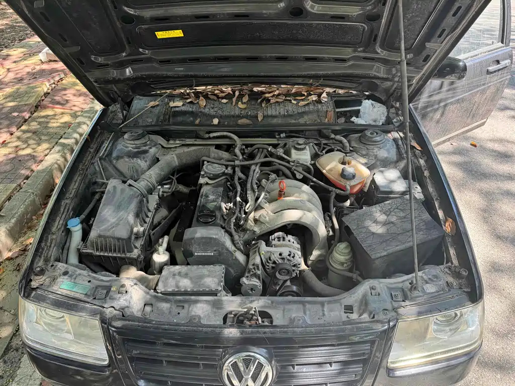 VOLKSWAGEN OTHER 2008