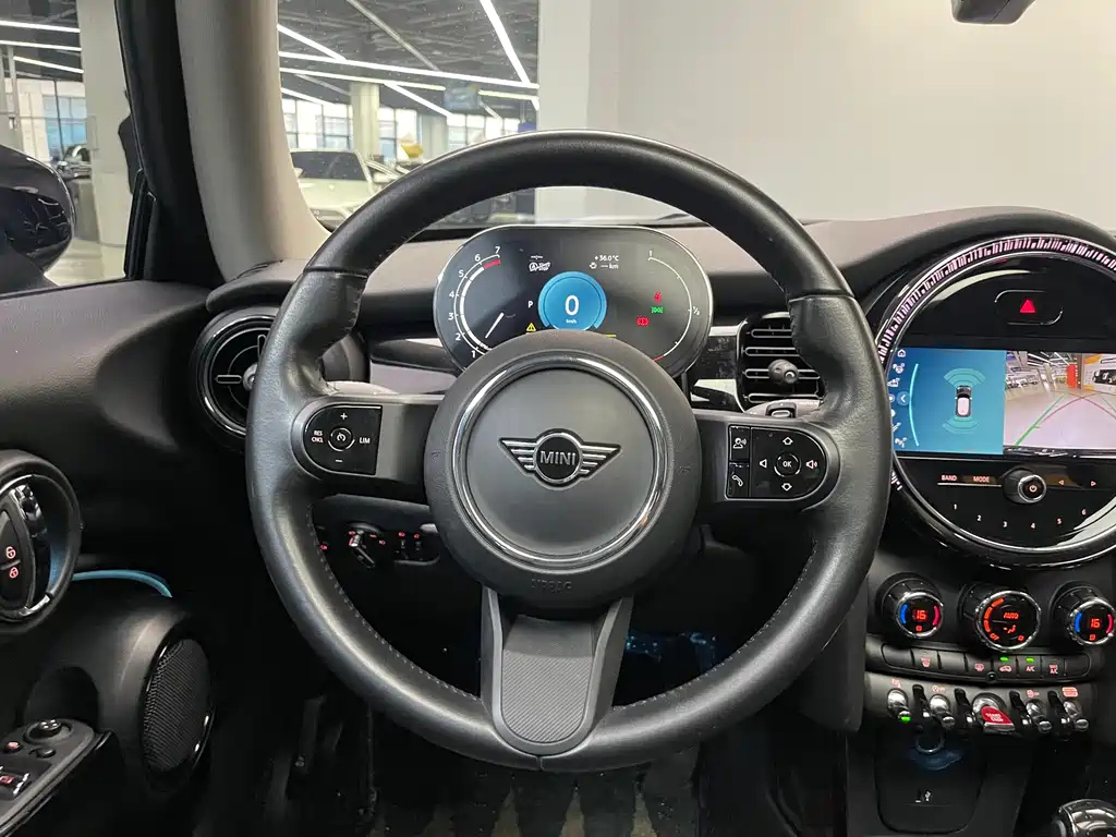 MINI OTHER 2021