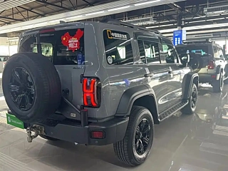 TANK 300 2021 YEAR EDITION 2.0T 2021