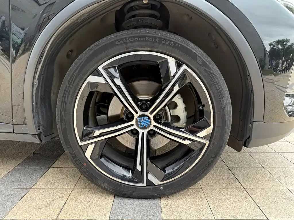 BYD TANG NEW ENERGY 2021