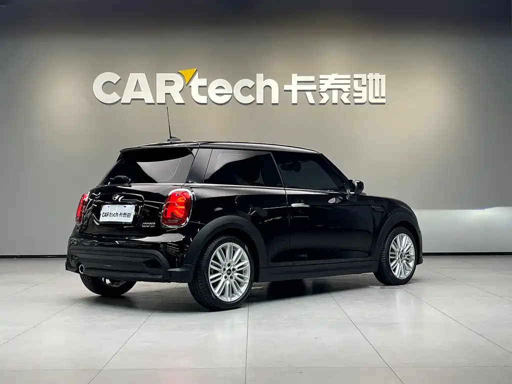 MINI OTHER 2021