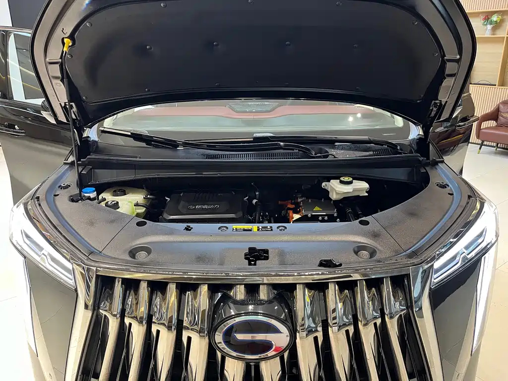 TRUMPCHI E9 2024