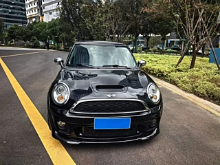MINI OTHER 2010