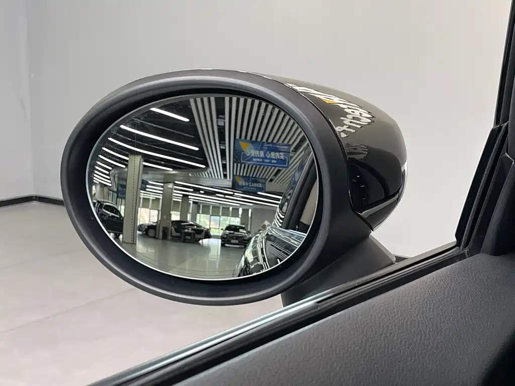 MINI OTHER 2021