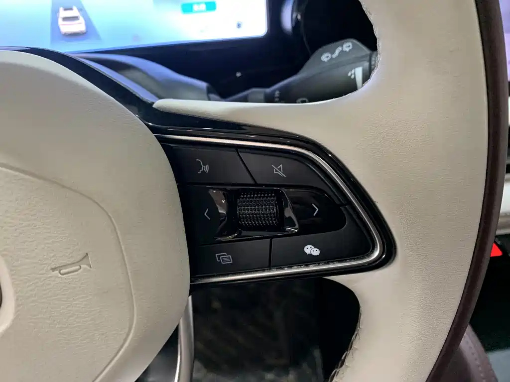 GEELY AUTO MONJARO 2021