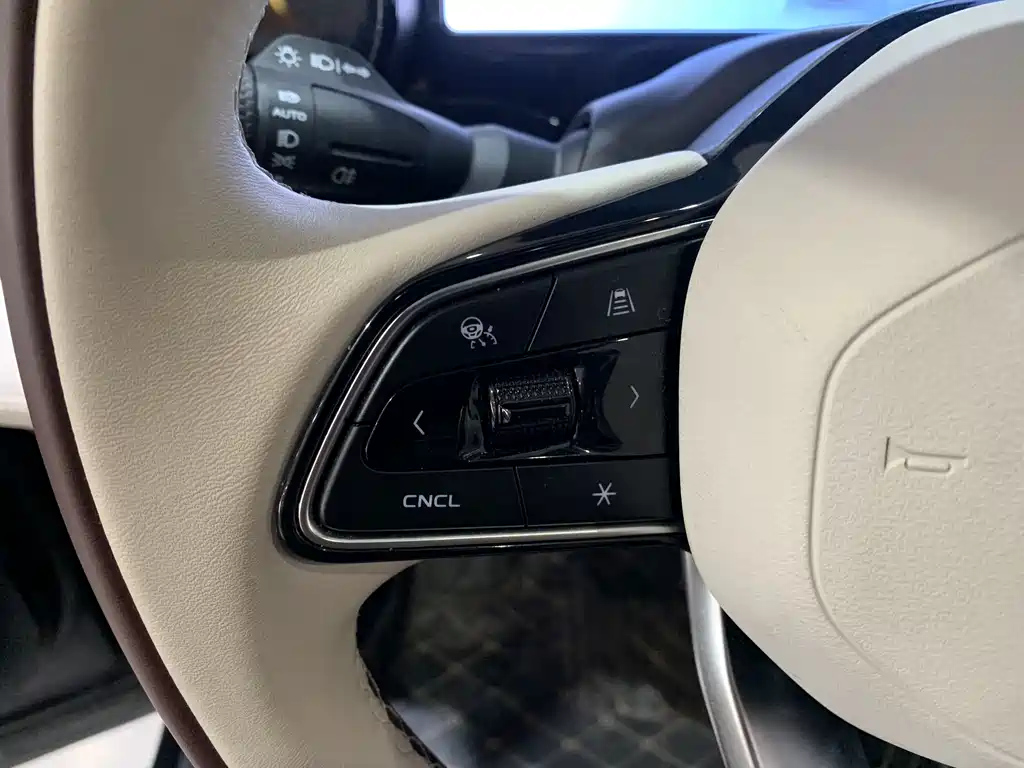 GEELY AUTO MONJARO 2021