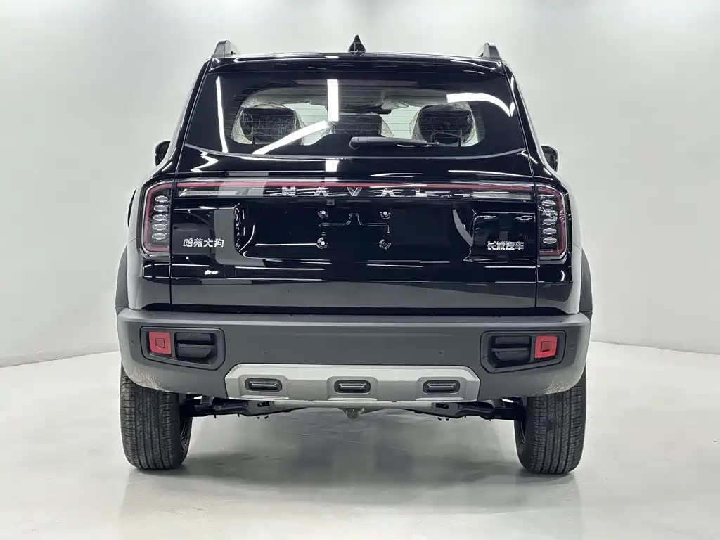 HAVAL BIG DOG 2024