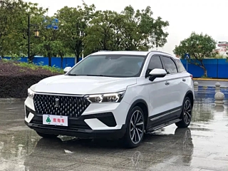 BESTURN T77  2020 YEAR PRO 280 TID AUTOMATIC LUXURY 2020