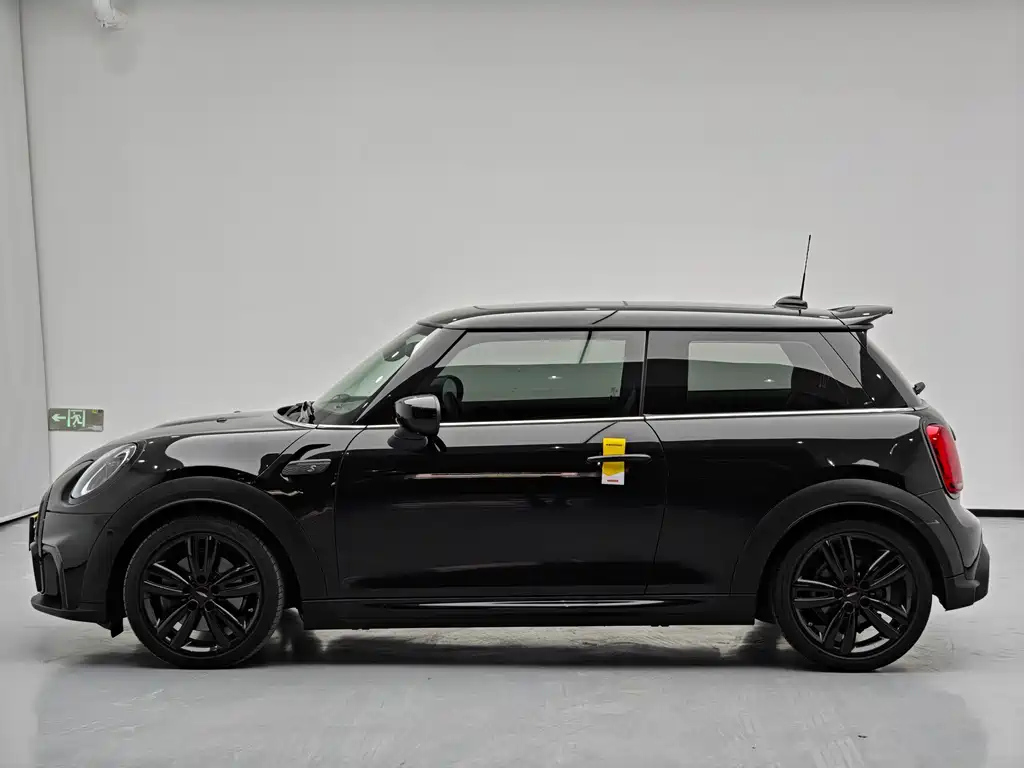 MINI OTHER 2022