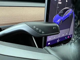 TESLA MODEL 3 IMPORT  2019 YEAR &#38271; RANGE &#21518;&#39537; EDITION 2019