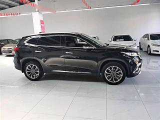 EXEED &#20940;&#20113;  2019 YEAR 1.6T 2WD &#38075;&#30707; EDITION 2019