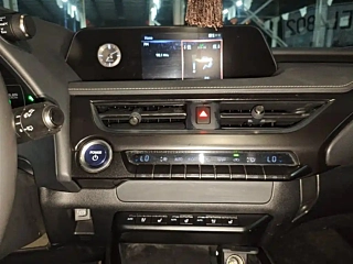 LEXUS UX NEW ENERGY  2020 YEAR 300E &#32431;.&#24742; EDITION 2020
