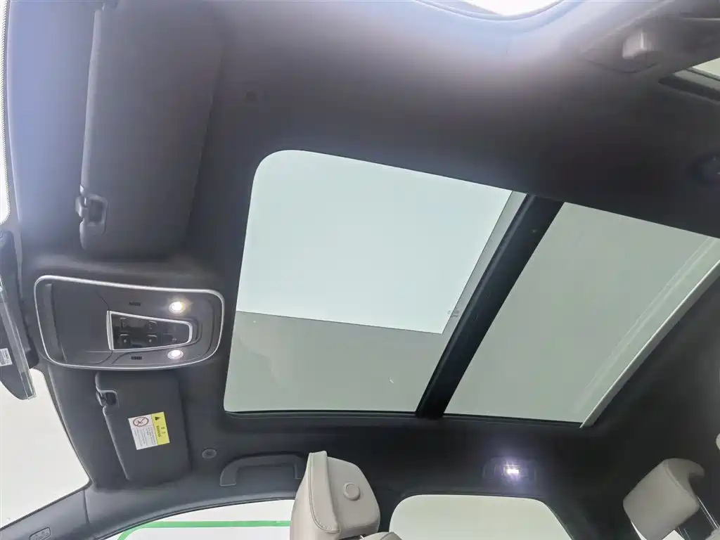 BYD TANG NEW ENERGY 2024