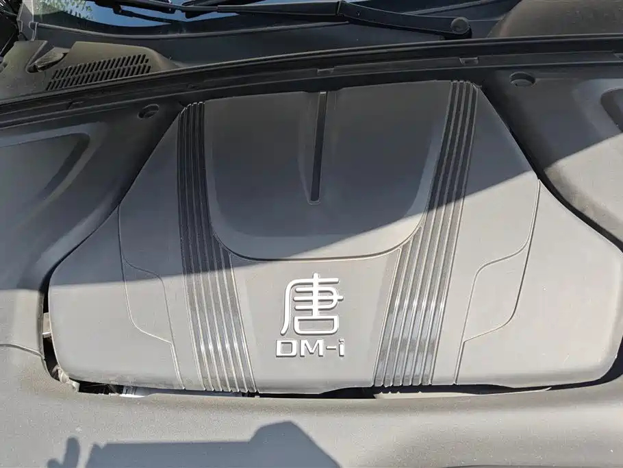 BYD TANG NEW ENERGY 2025