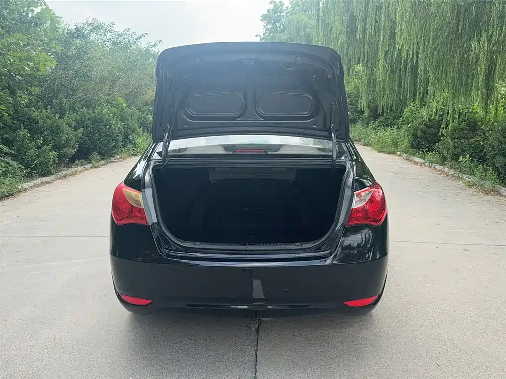 HYUNDAI CELESTA 2011