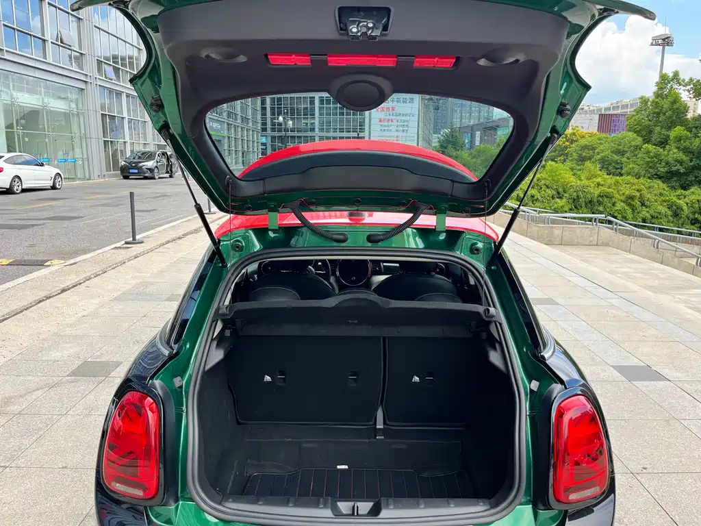 MINI OTHER 2020