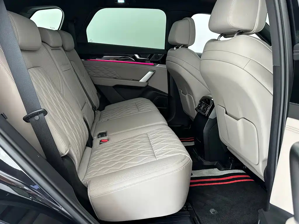 BYD TANG NEW ENERGY 2025