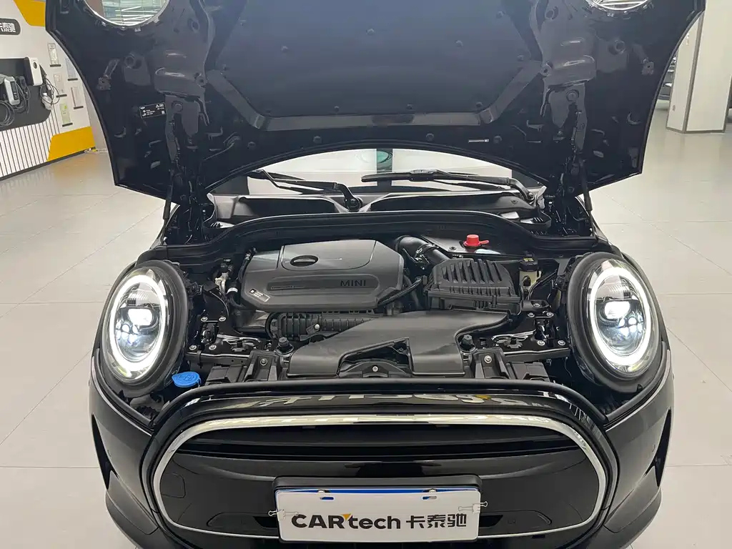 MINI OTHER 2021
