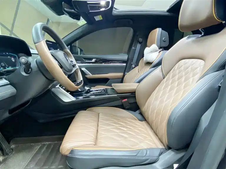 BYD TANG NEW ENERGY 2022