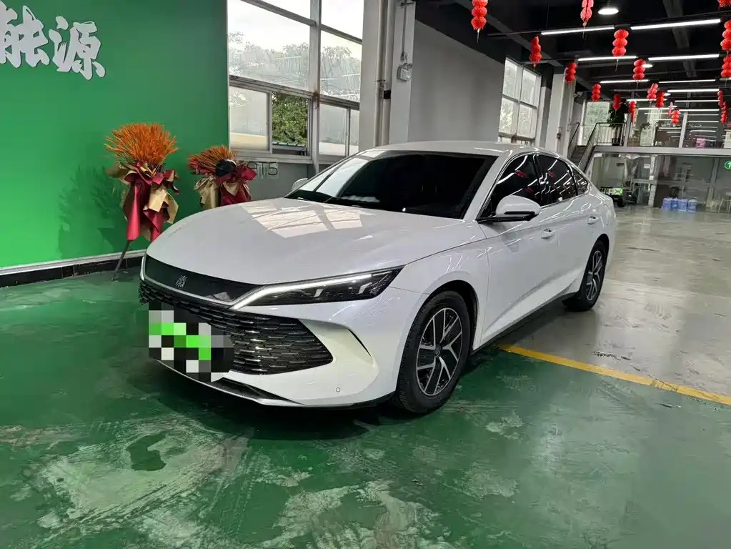 BYD QIN L 2024