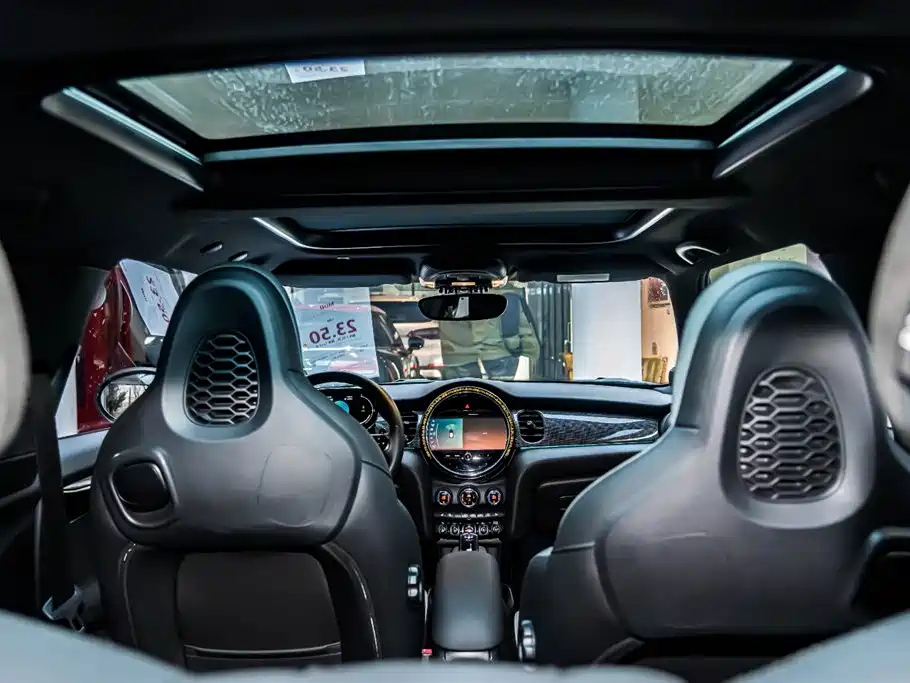 MINI OTHER 2021