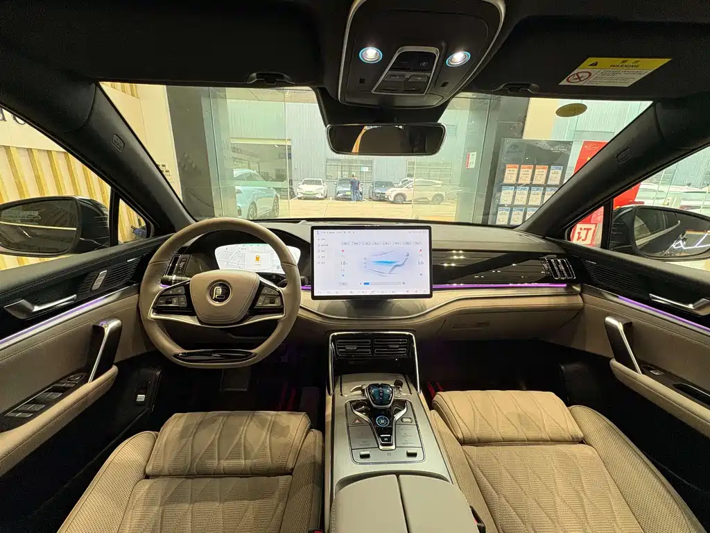 BYD TANG NEW ENERGY 2024