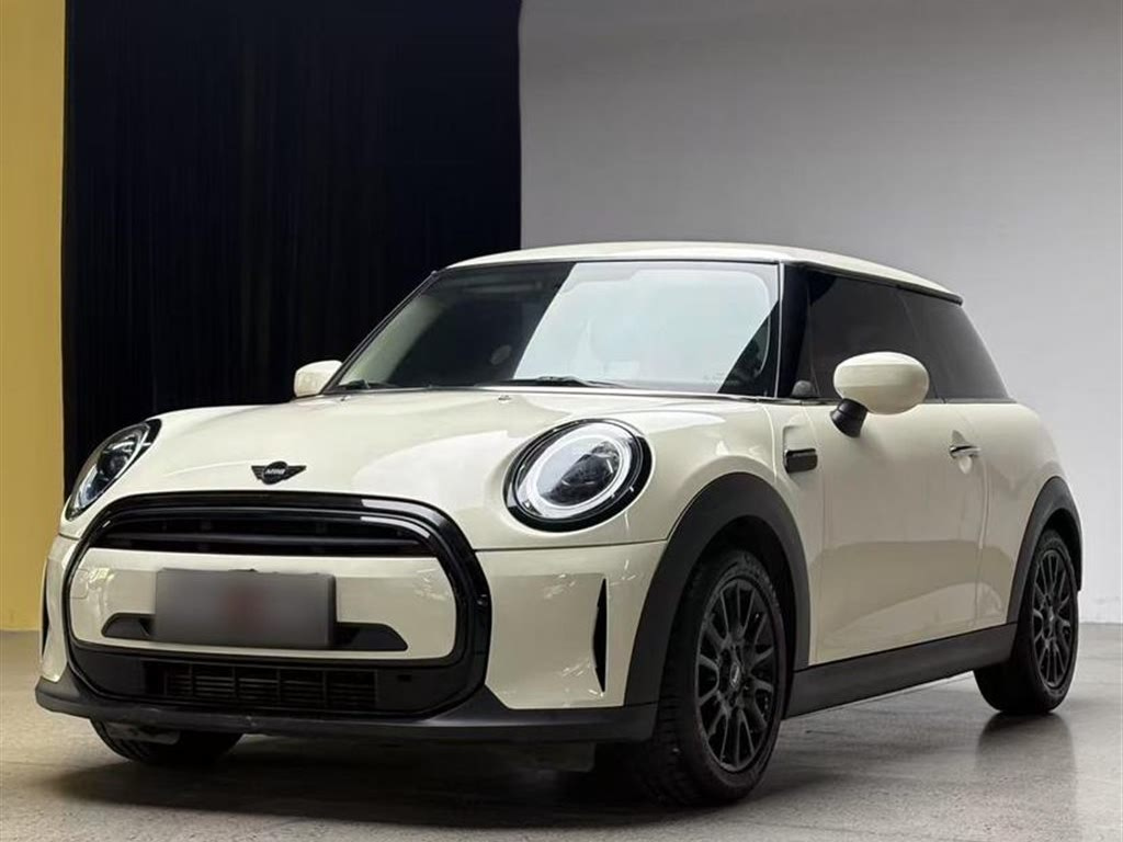 MINI OTHER 2021