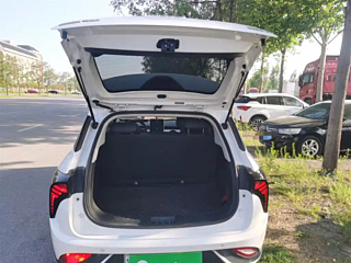 NETA AUTO V  2022 YEAR  300 LITE LFP 2022