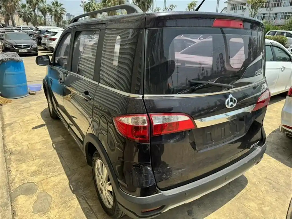 CHANGAN OTHER 2013