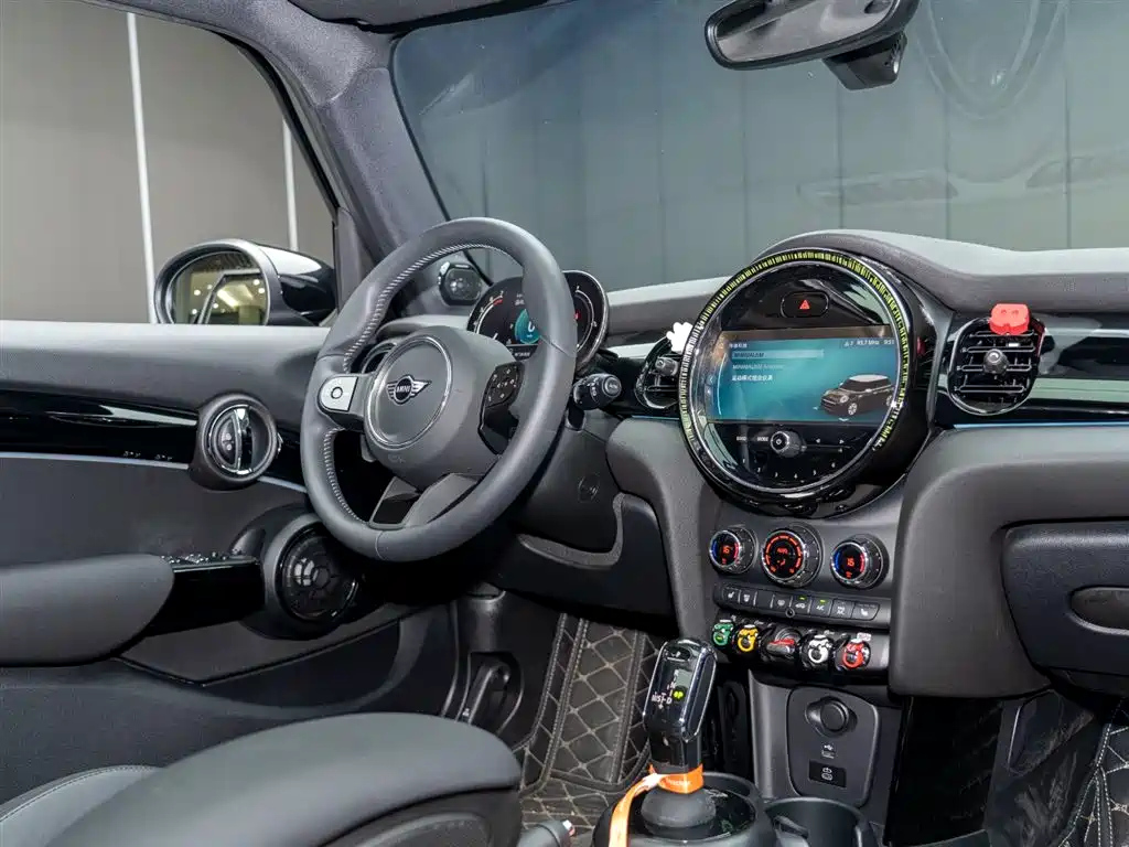 MINI OTHER 2023