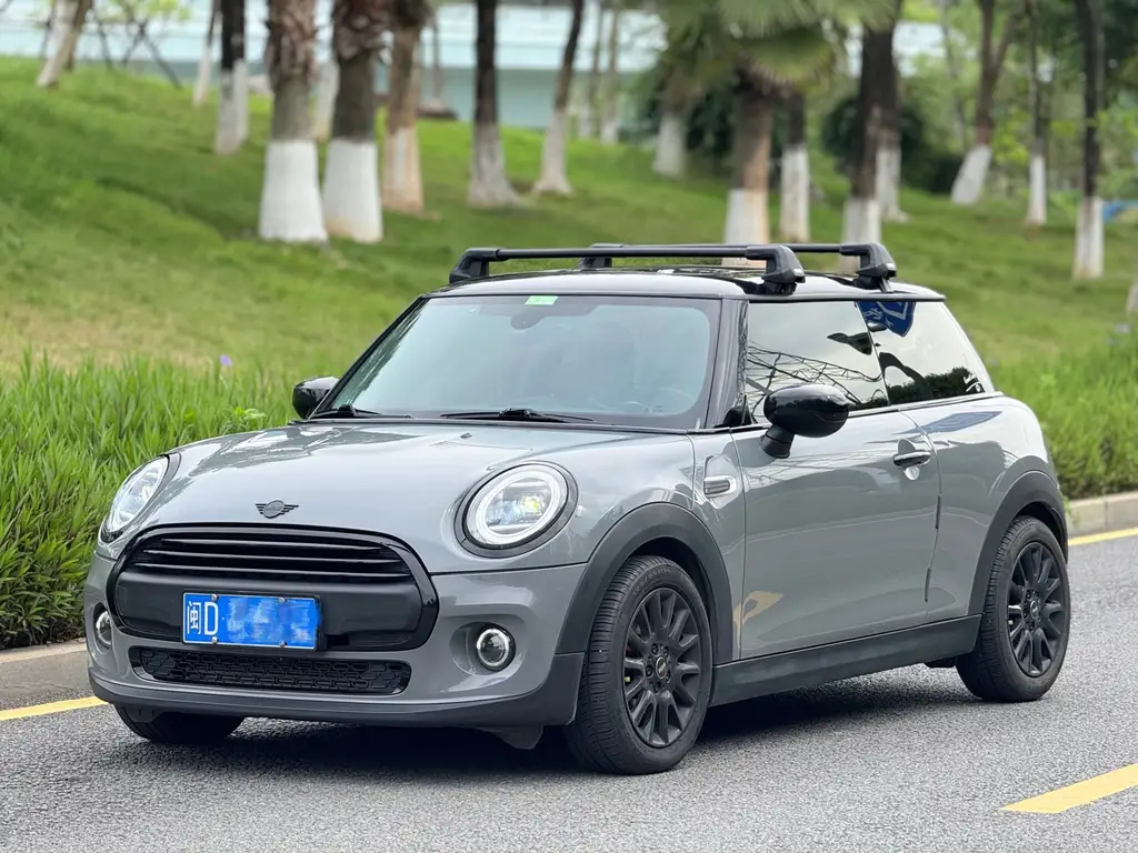 MINI OTHER 2021