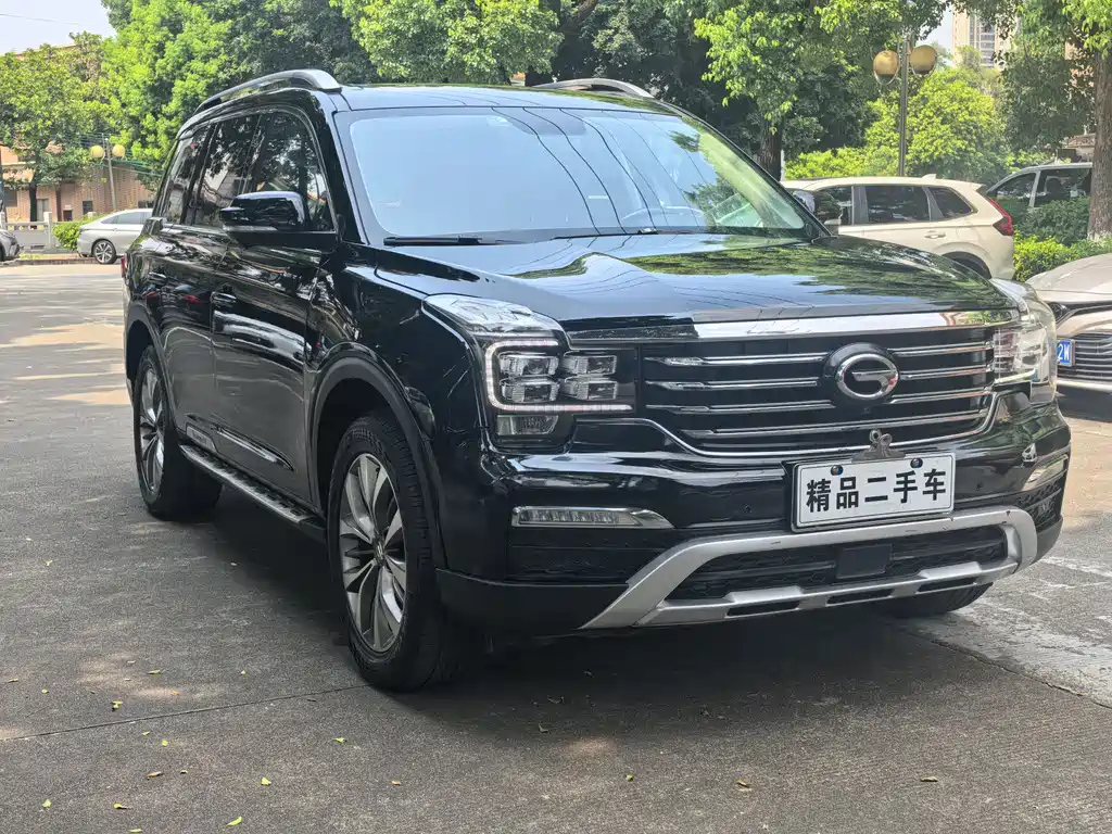 Аукционный лист TRUMPCHI GS8 2017
