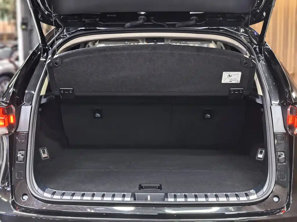 LEXUS NX 2020